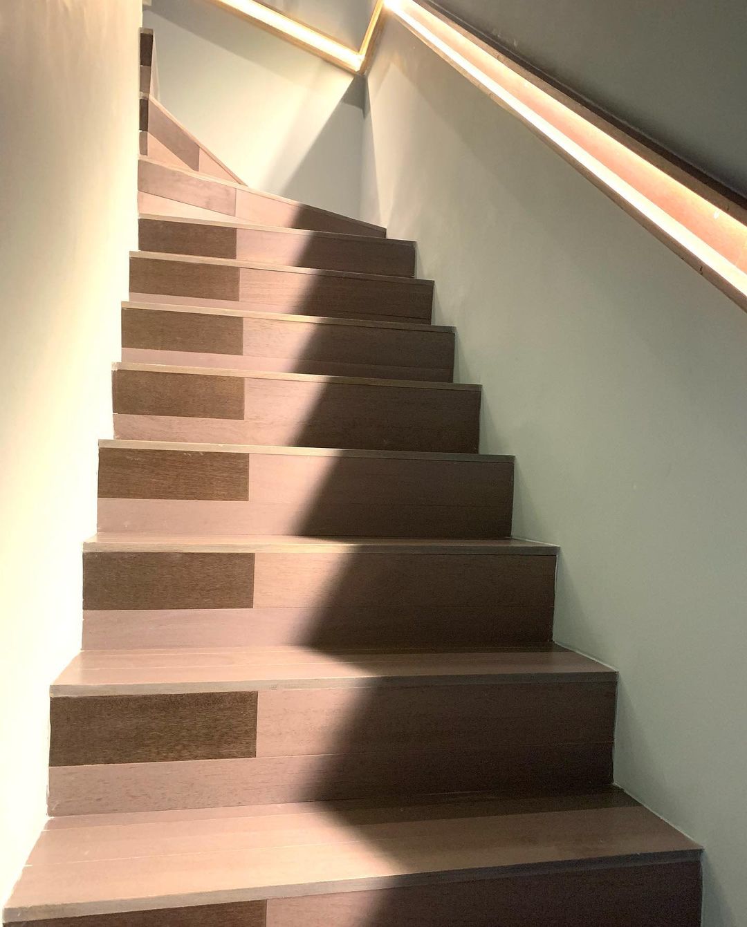 1. HENRIQUE FRENEDA – TAUARI GRIS