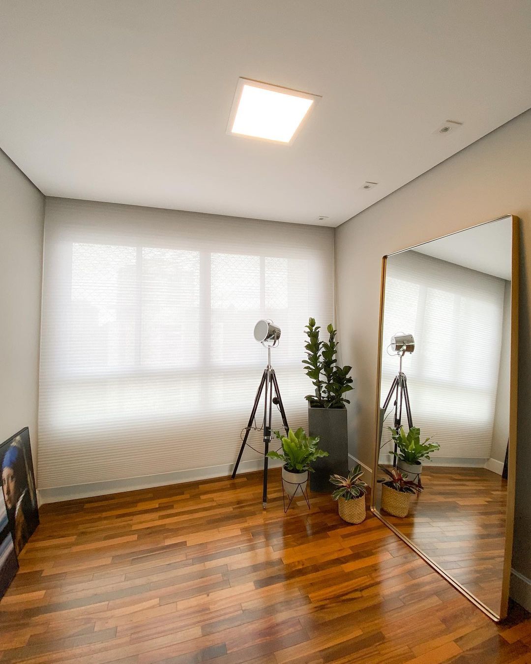 5. DEUSA CONSTANZI – CUMARU 7CM