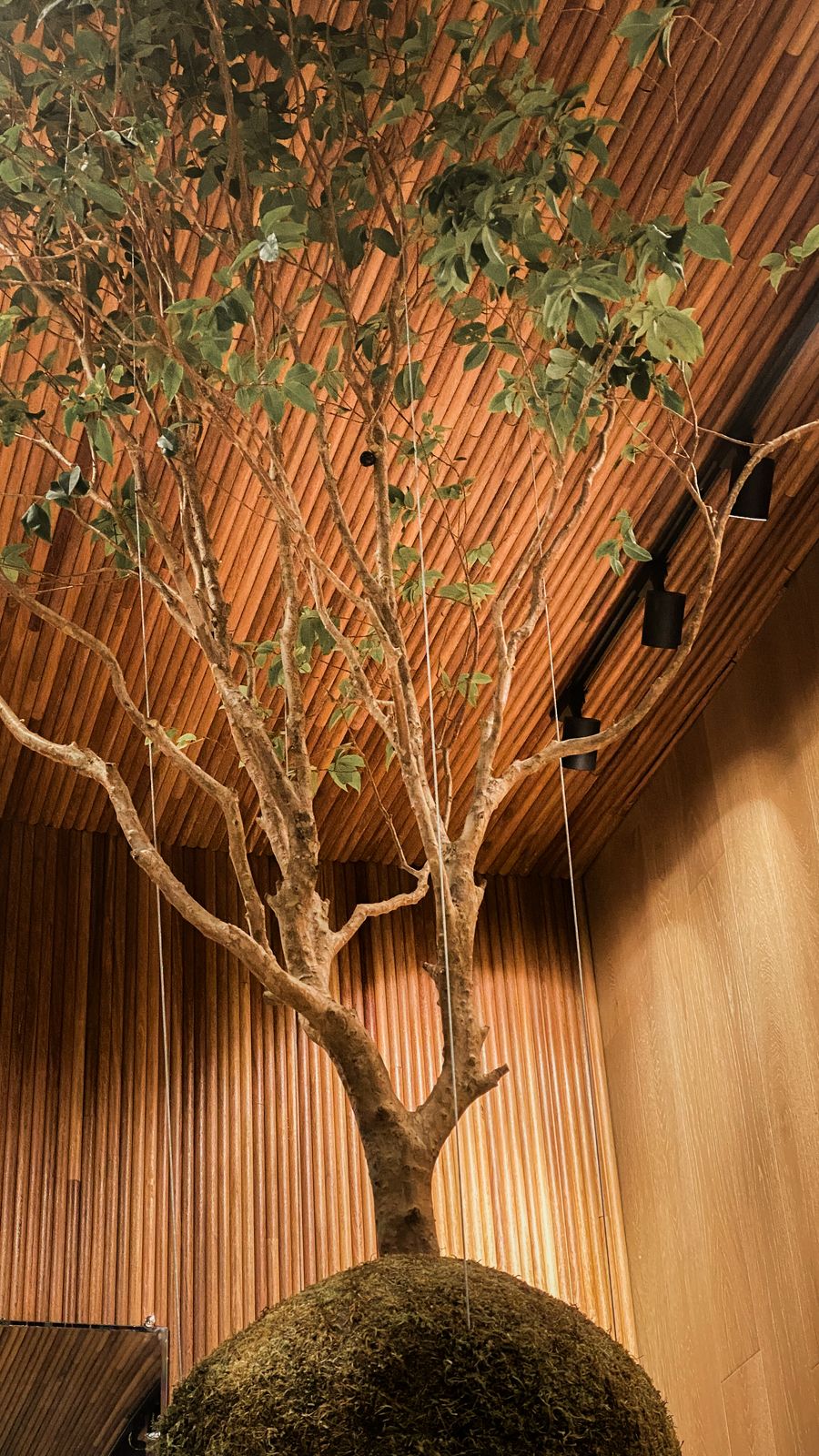 Imagem do WhatsApp de 2025-03-11 à(s) 18.38.06_04399e1c